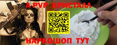спиды Новодвинск